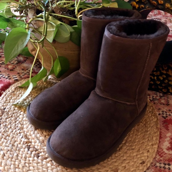 UGG Shoes - UGG Classic Short Boots